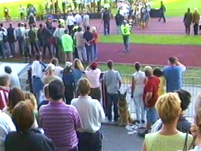 Поездка в Германию на автомобиле с немецкой овчаркой. Часть 8. Окончание Зигера