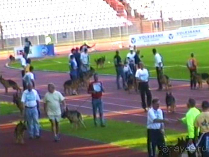 Поездка в Германию на автомобиле с немецкой овчаркой. Часть 8. Окончание Зигера