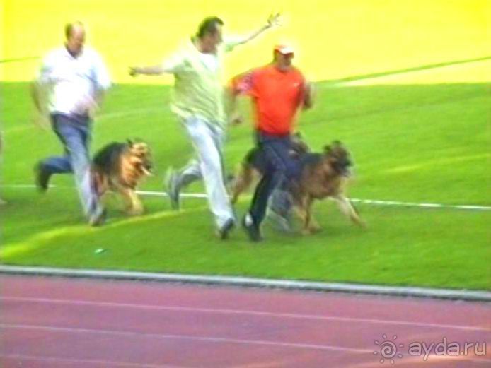 Поездка в Германию на автомобиле с немецкой овчаркой. Часть 8. Окончание Зигера