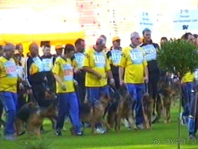 Поездка в Германию на автомобиле с немецкой овчаркой. Часть 8. Окончание Зигера