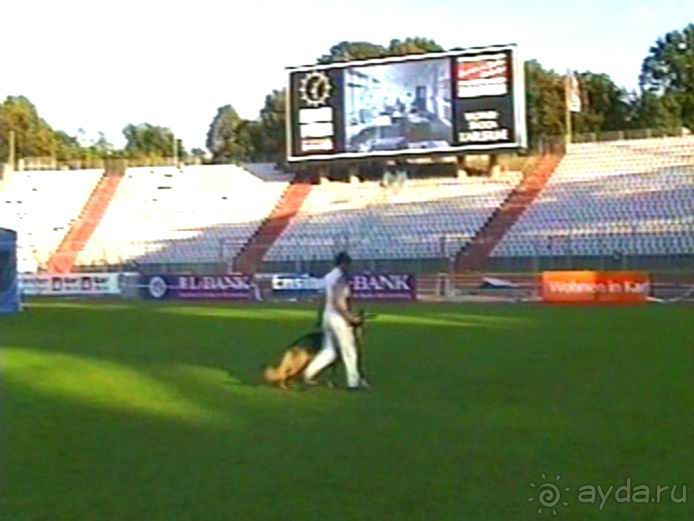 Поездка в Германию на автомобиле с немецкой овчаркой. Часть 8. Окончание Зигера