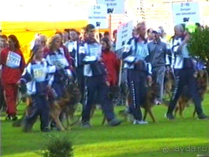 Поездка в Германию на автомобиле с немецкой овчаркой. Часть 8. Окончание Зигера