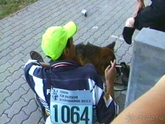 Поездка в Германию на автомобиле с немецкой овчаркой. Часть 8. Окончание Зигера