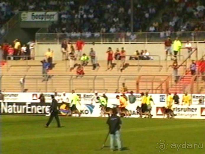 Поездка в Германию на автомобиле с немецкой овчаркой. Часть 8. Окончание Зигера