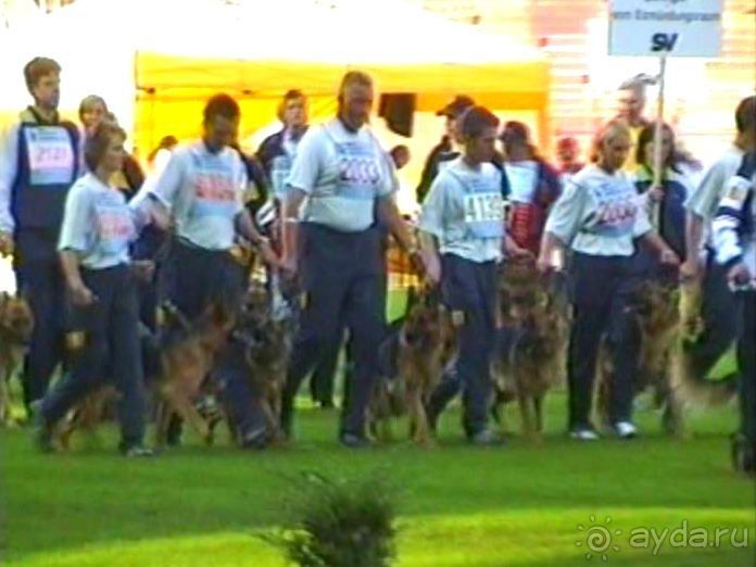 Поездка в Германию на автомобиле с немецкой овчаркой. Часть 8. Окончание Зигера