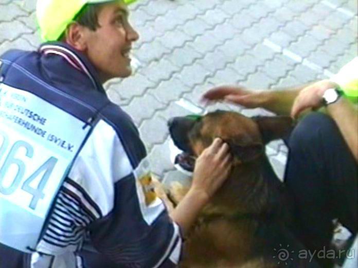 Поездка в Германию на автомобиле с немецкой овчаркой. Часть 8. Окончание Зигера