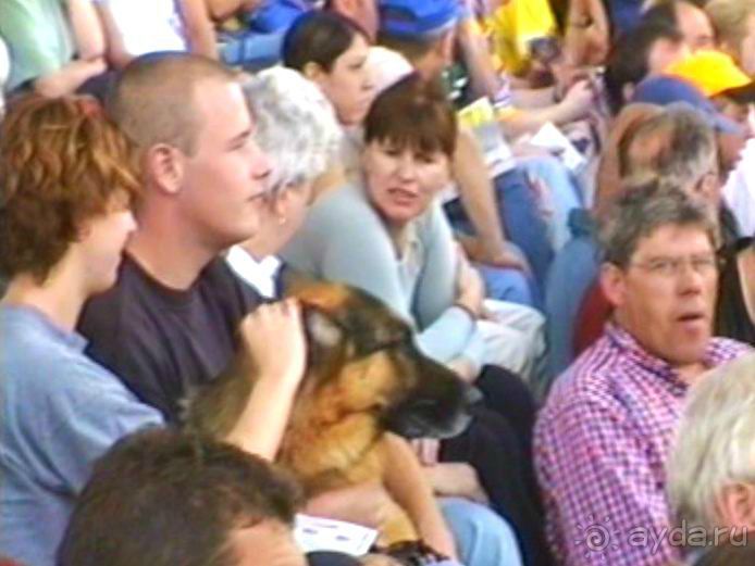 Поездка в Германию на автомобиле с немецкой овчаркой. Часть 8. Окончание Зигера