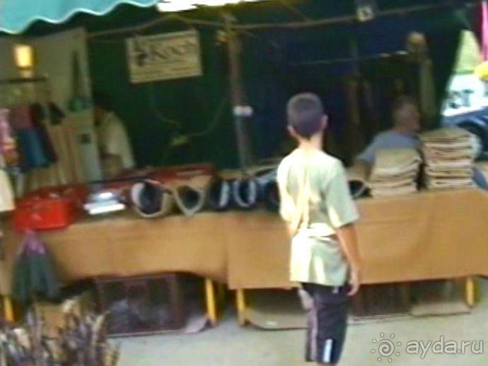 Поездка в Германию на автомобиле с немецкой овчаркой. Часть 8. Окончание Зигера