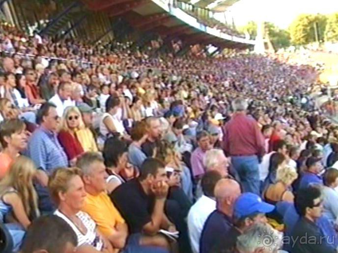 Поездка в Германию на автомобиле с немецкой овчаркой. Часть 8. Окончание Зигера