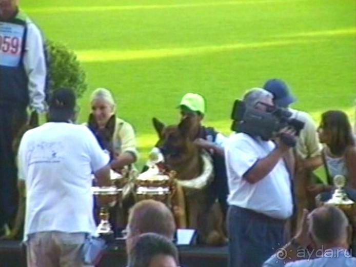 Поездка в Германию на автомобиле с немецкой овчаркой. Часть 8. Окончание Зигера