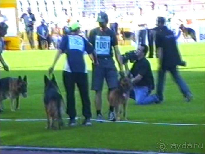 Поездка в Германию на автомобиле с немецкой овчаркой. Часть 8. Окончание Зигера