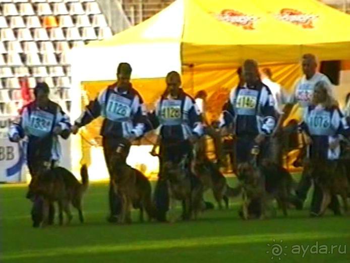 Поездка в Германию на автомобиле с немецкой овчаркой. Часть 8. Окончание Зигера
