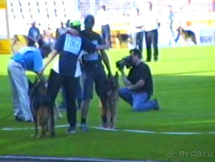 Поездка в Германию на автомобиле с немецкой овчаркой. Часть 8. Окончание Зигера