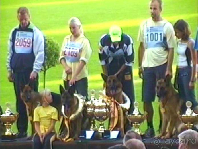 Поездка в Германию на автомобиле с немецкой овчаркой. Часть 8. Окончание Зигера