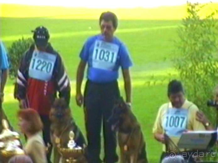 Поездка в Германию на автомобиле с немецкой овчаркой. Часть 8. Окончание Зигера