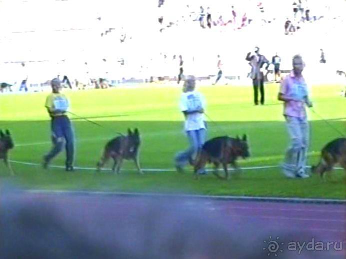 Поездка в Германию на автомобиле с немецкой овчаркой. Часть 8. Окончание Зигера