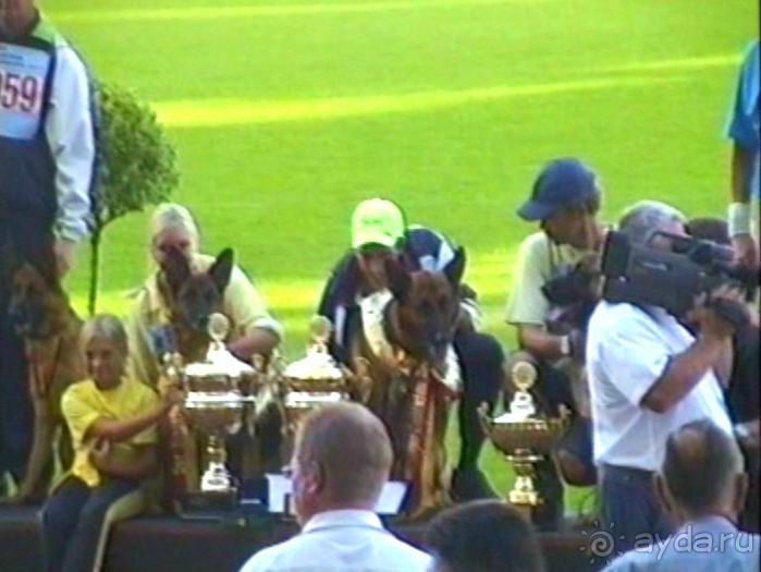 Поездка в Германию на автомобиле с немецкой овчаркой. Часть 8. Окончание Зигера