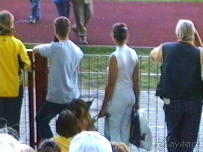 Поездка в Германию на автомобиле с немецкой овчаркой. Часть 8. Окончание Зигера