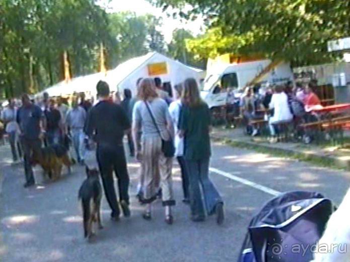 Поездка в Германию на автомобиле с немецкой овчаркой. Часть 8. Окончание Зигера