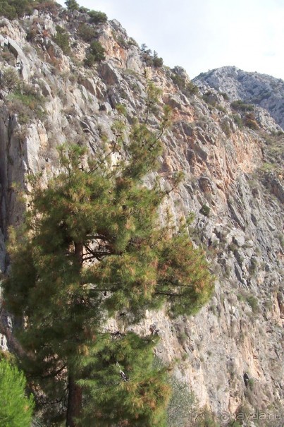 Греция часть 13: Древние Дельфы