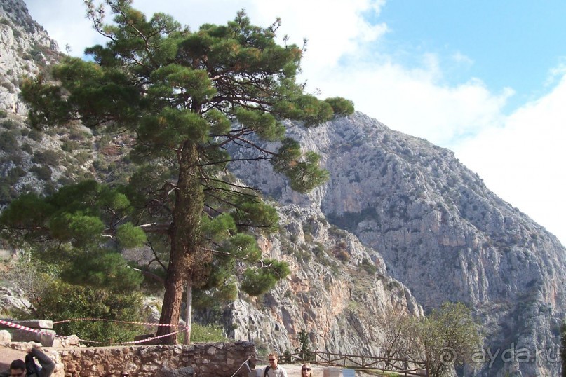 Греция часть 13: Древние Дельфы