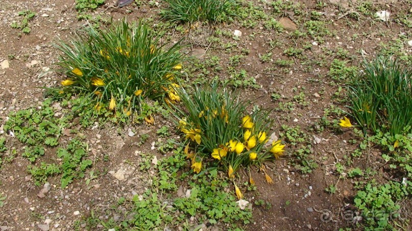 Греция часть 13: Древние Дельфы