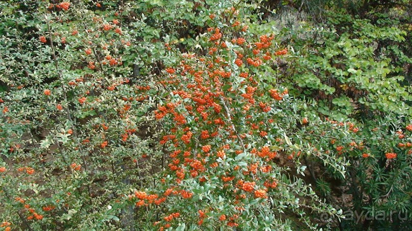 Греция часть 13: Древние Дельфы