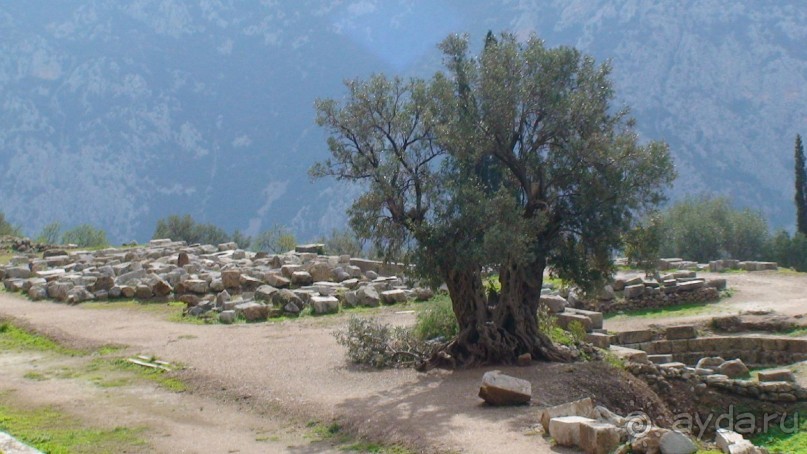 Греция часть 13: Древние Дельфы