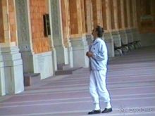 Поездка в Германию на автомобиле с немецкой овчаркой. Часть 5. Баден-Баден