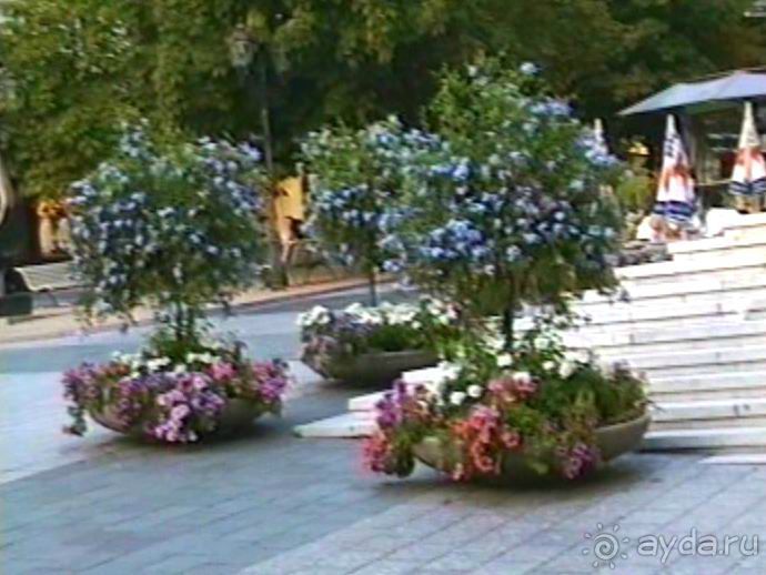 Поездка в Германию на автомобиле с немецкой овчаркой. Часть 5. Баден-Баден