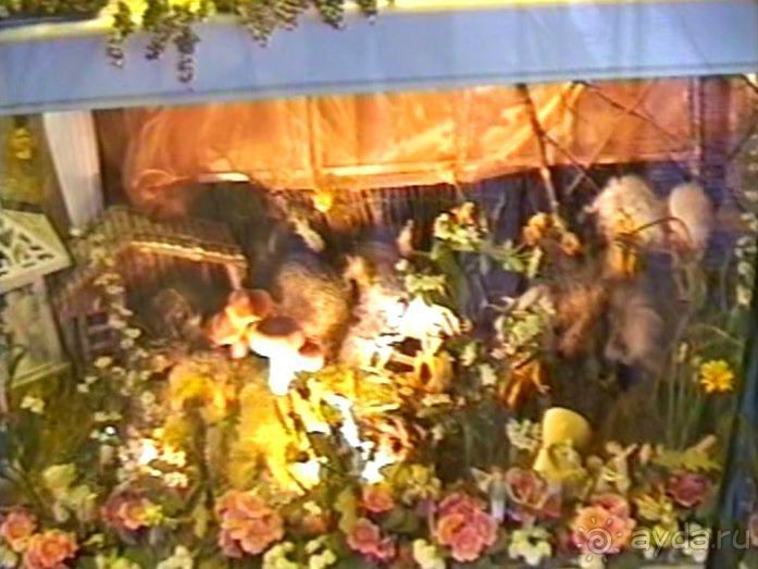 Поездка в Германию на автомобиле с немецкой овчаркой. Часть 5. Баден-Баден