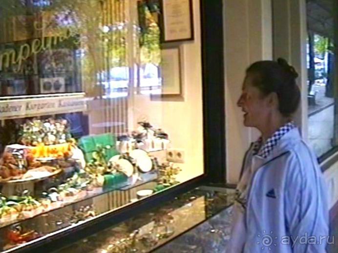 Поездка в Германию на автомобиле с немецкой овчаркой. Часть 5. Баден-Баден