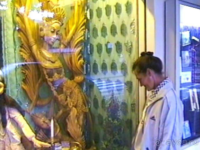 Поездка в Германию на автомобиле с немецкой овчаркой. Часть 5. Баден-Баден