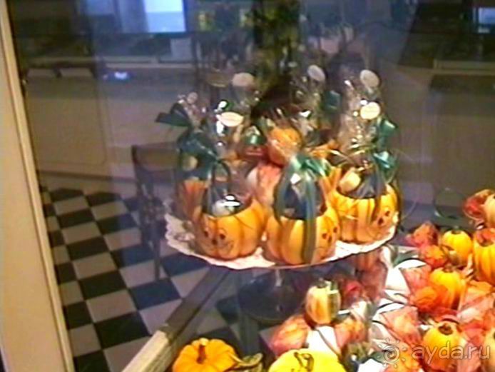 Поездка в Германию на автомобиле с немецкой овчаркой. Часть 5. Баден-Баден