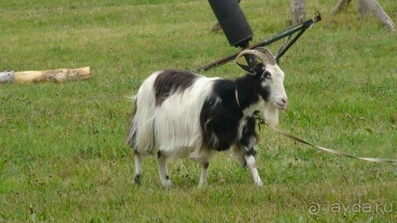 Константиново