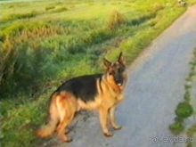 Вторая поездка в Германию на автомобиле: Лилиенталь