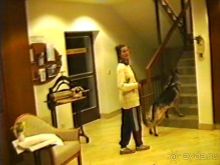 Вторая поездка в Германию на автомобиле: Лилиенталь