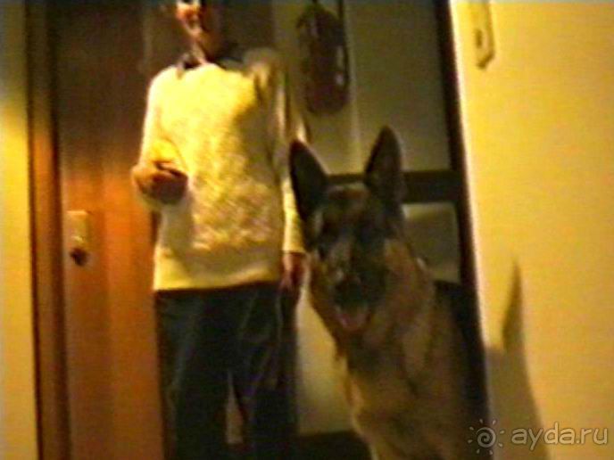 Вторая поездка в Германию на автомобиле: Лилиенталь