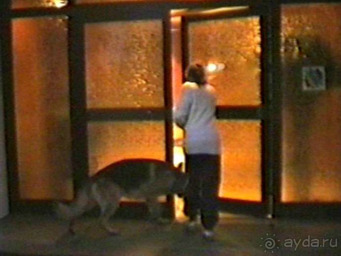 Вторая поездка в Германию на автомобиле: Лилиенталь