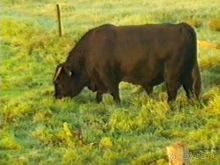 Вторая поездка в Германию на автомобиле: Лилиенталь