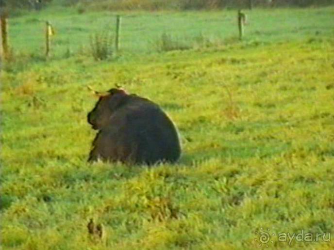 Вторая поездка в Германию на автомобиле: Лилиенталь