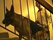 Вторая поездка в Германию на автомобиле: Лилиенталь