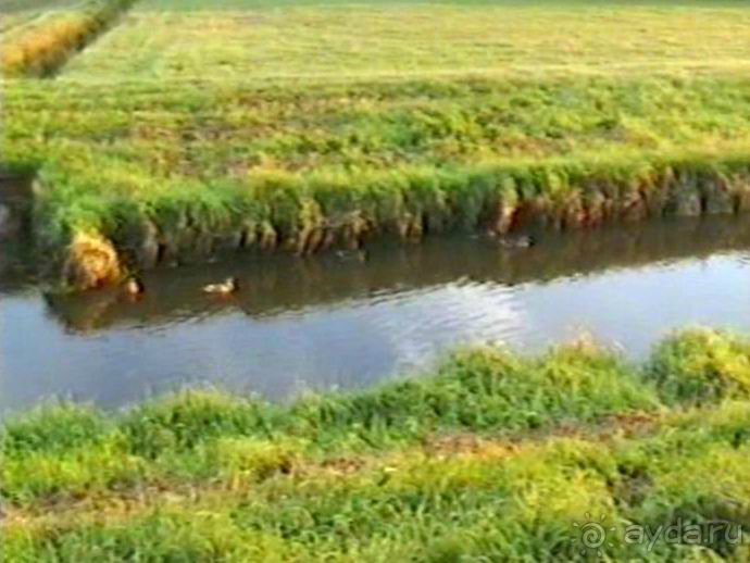 Вторая поездка в Германию на автомобиле: Лилиенталь