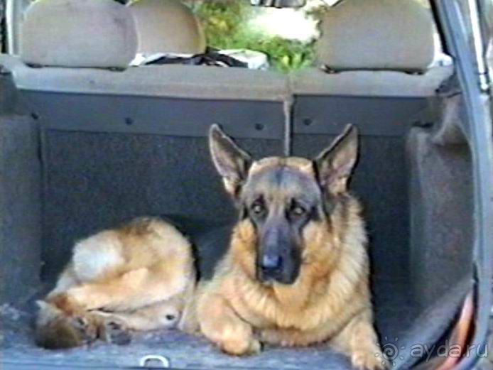 Вторая поездка в Германию на автомобиле: Лилиенталь