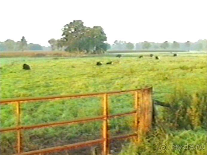 Вторая поездка в Германию на автомобиле: Лилиенталь