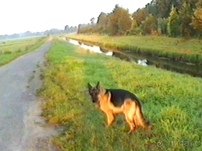 Вторая поездка в Германию на автомобиле: Лилиенталь