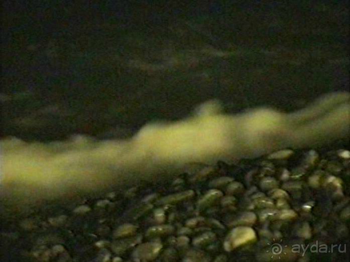 Монте-Карло и Ницца