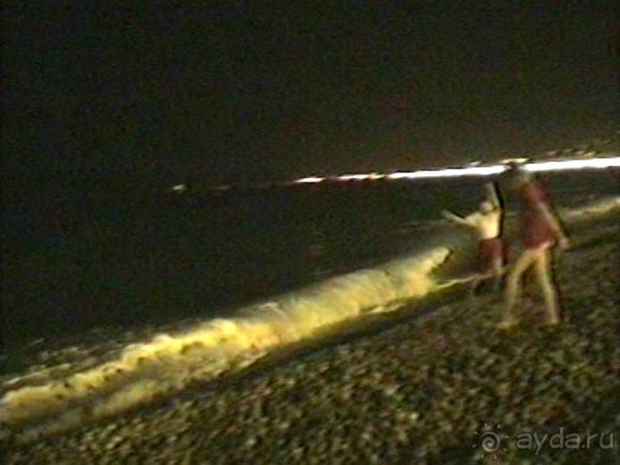 Монте-Карло и Ницца