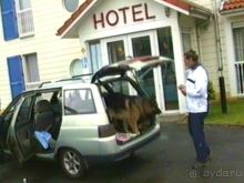 Париж-Вавр на чемпионат мира по дрессировке служебных собак