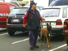 Париж-Вавр на чемпионат мира по дрессировке служебных собак